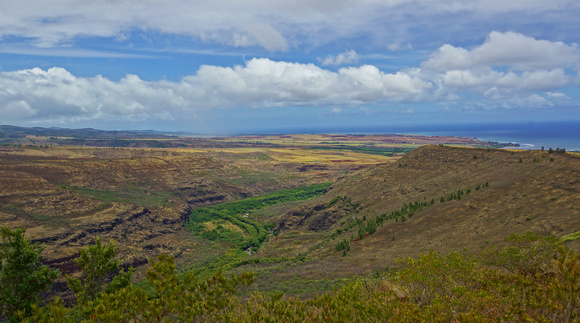 Eleele, Island of Kauai, Kauai County, Hawaii, photo by Patrick (Pat) Michael McNally